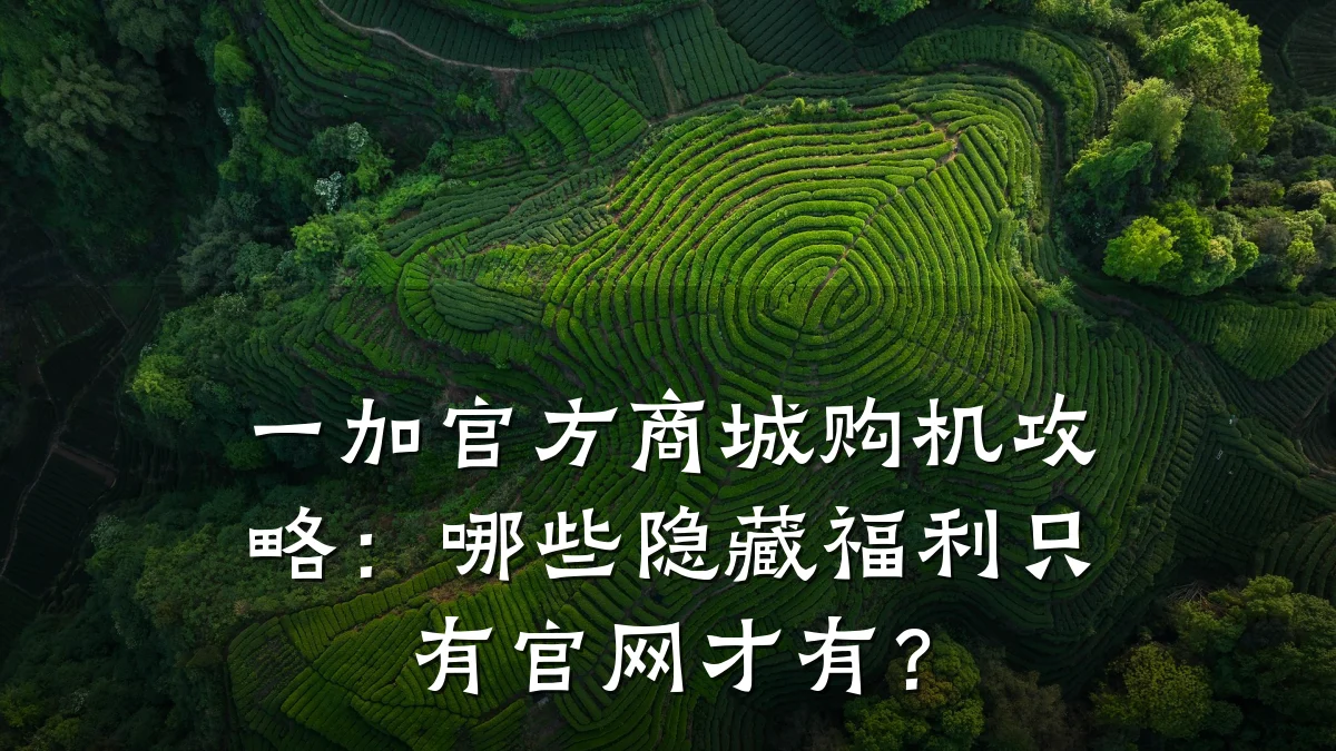 一加官方商城购机攻略:哪些隐藏福利只有官网才有?