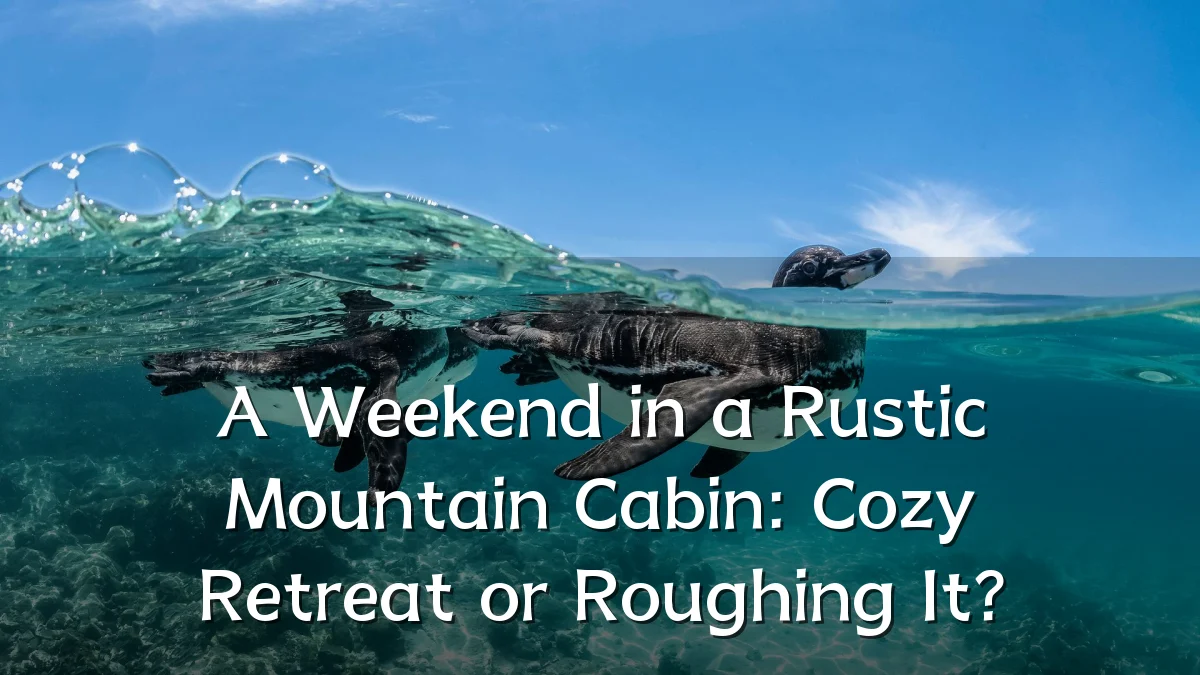 A Weekend in a Rustic Mountain Cabin: Cozy Retreat or Roughing It?