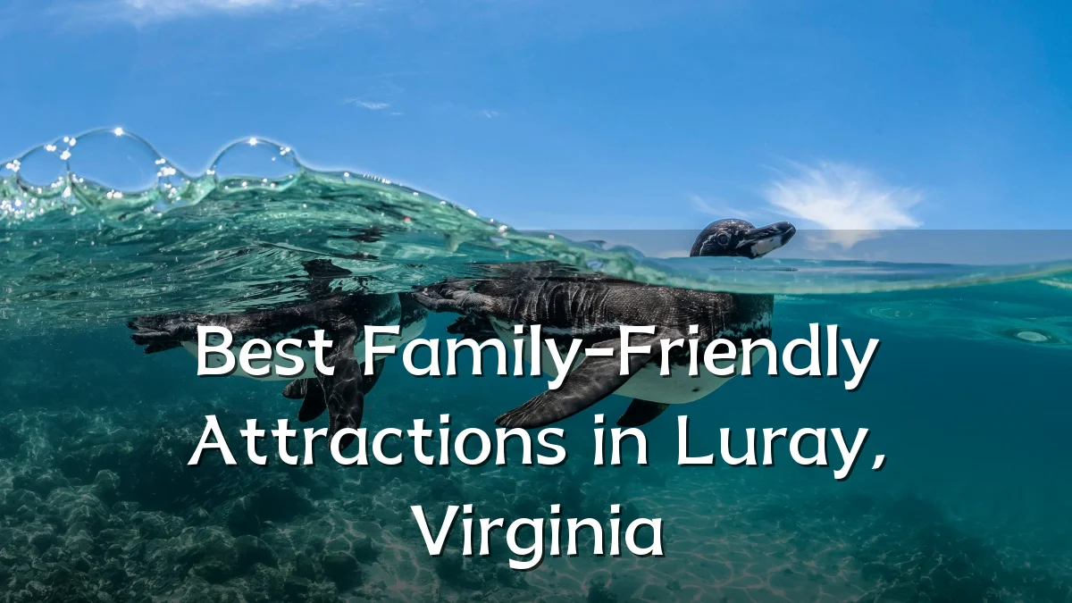 Best Family-Friendly Attractions in Luray, Virginia