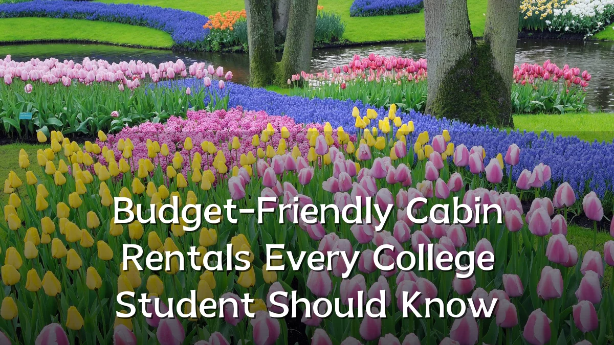 Budget-Friendly Cabin Rentals Every College Student Should Know
