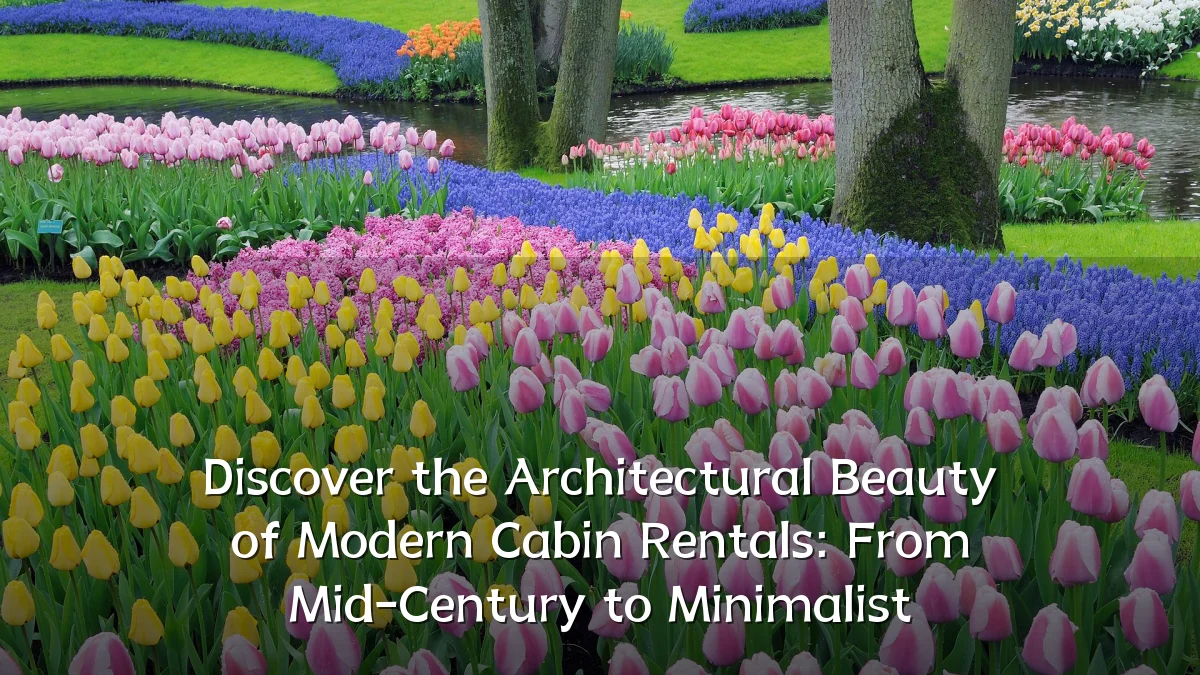Discover the Architectural Beauty of Modern Cabin Rentals: From Mid-Century to Minimalist