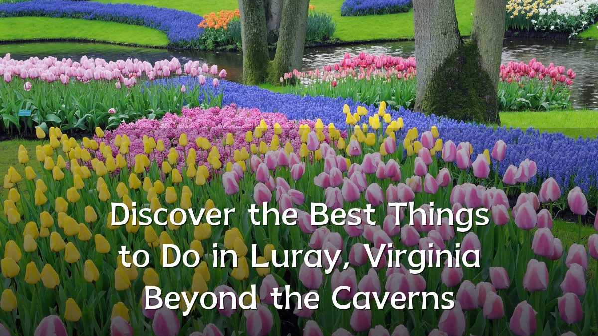 Discover the Best Things to Do in Luray, Virginia Beyond the Caverns