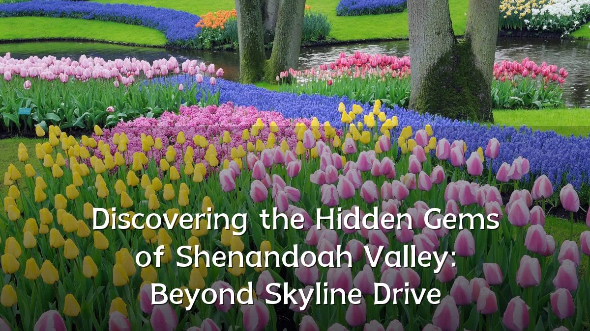 Discovering the Hidden Gems of Shenandoah Valley: Beyond Skyline Drive