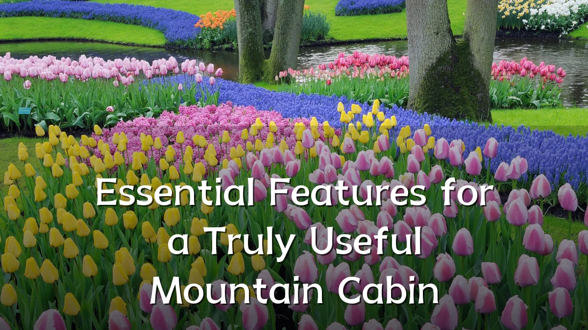 Essential Features for a Truly Useful Mountain Cabin