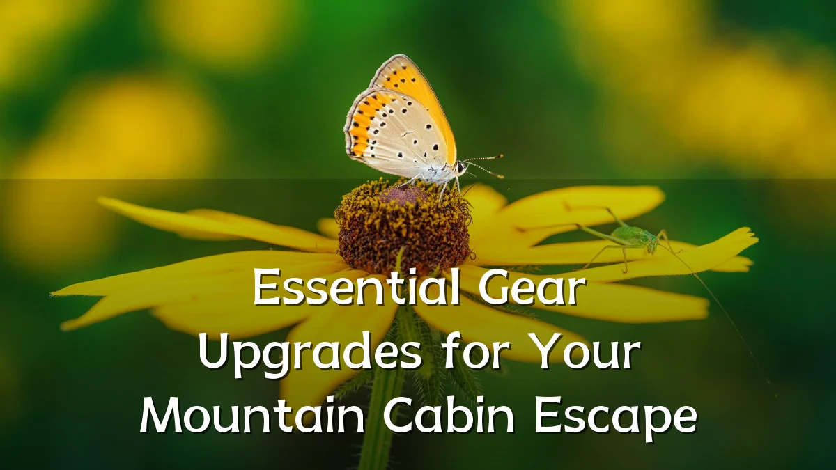 Essential Gear Upgrades for Your Mountain Cabin Escape