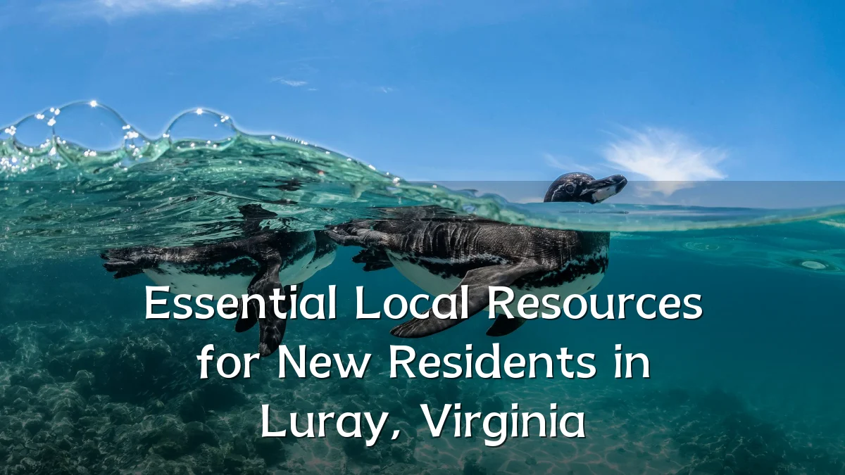 Essential Local Resources for New Residents in Luray, Virginia