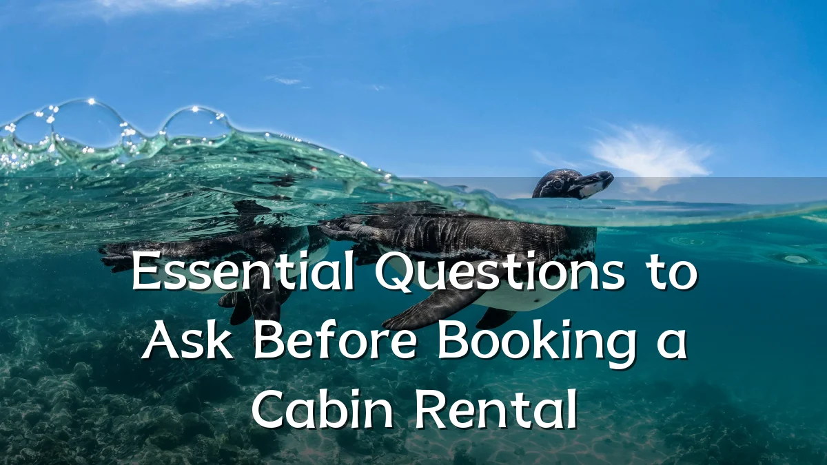 Essential Questions to Ask Before Booking a Cabin Rental