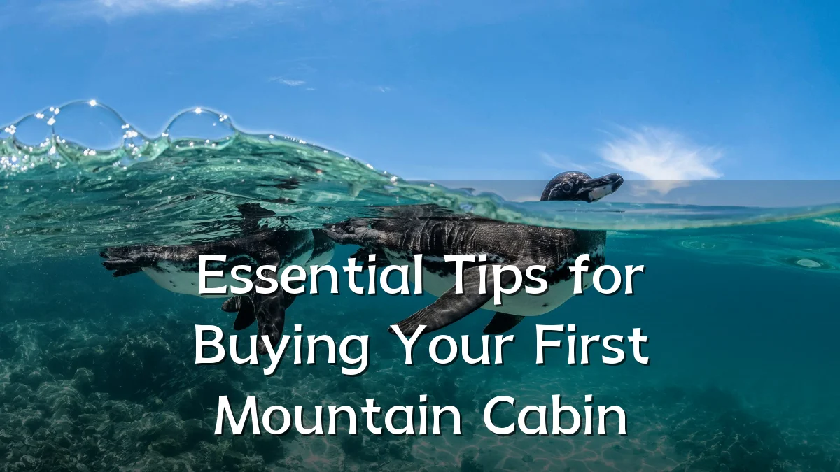 Essential Tips for Buying Your First Mountain Cabin