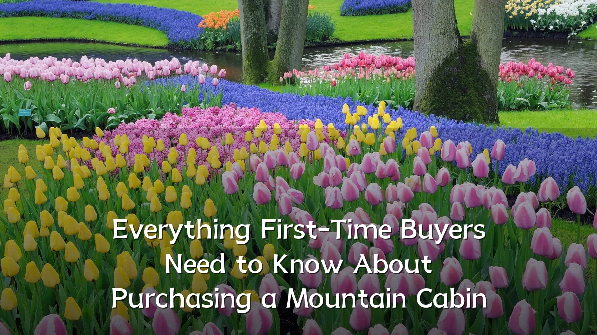 Everything First-Time Buyers Need to Know About Purchasing a Mountain Cabin
