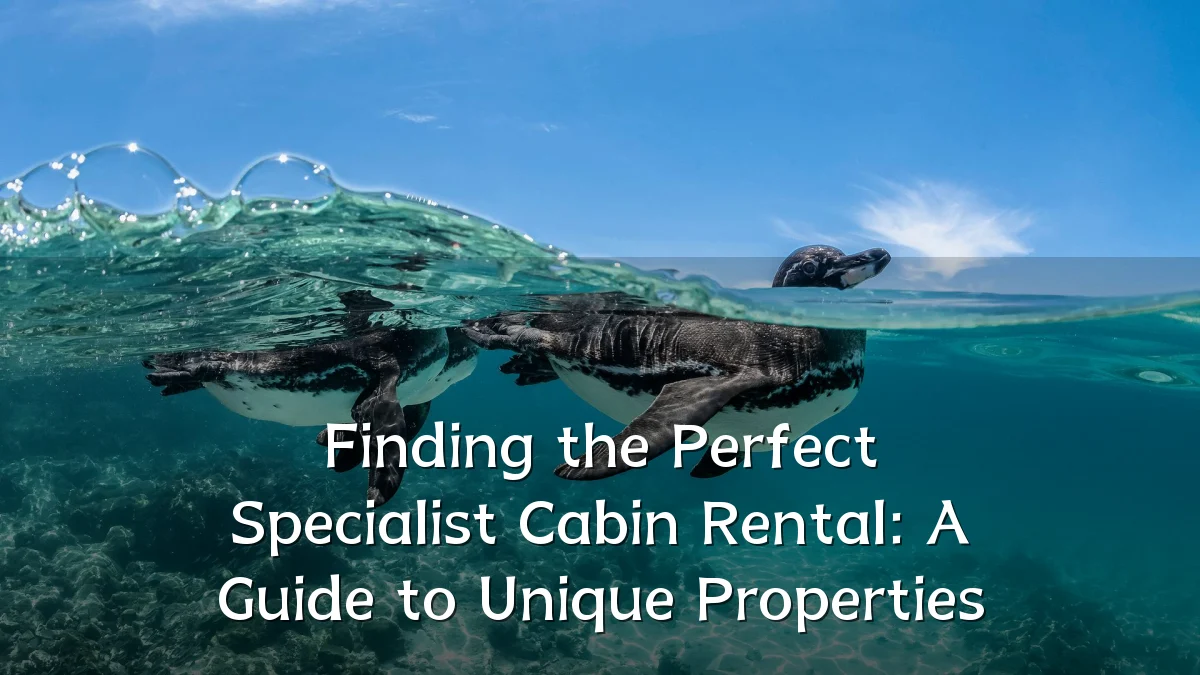 Finding the Perfect Specialist Cabin Rental: A Guide to Unique Properties