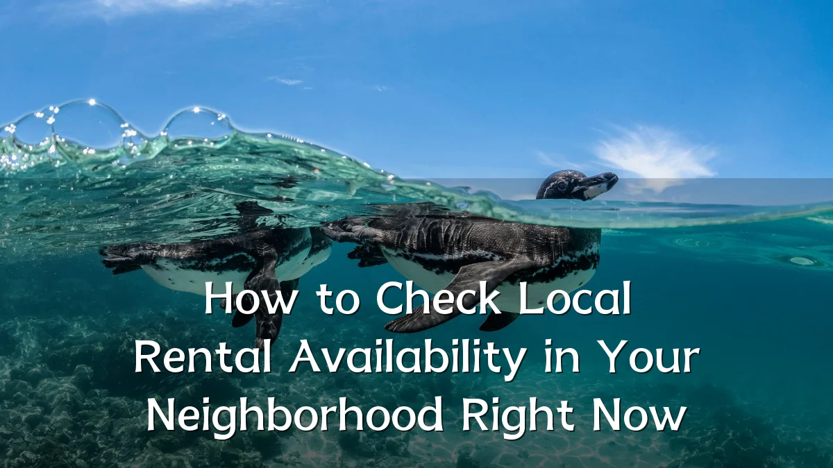 How to Check Local Rental Availability in Your Neighborhood Right Now