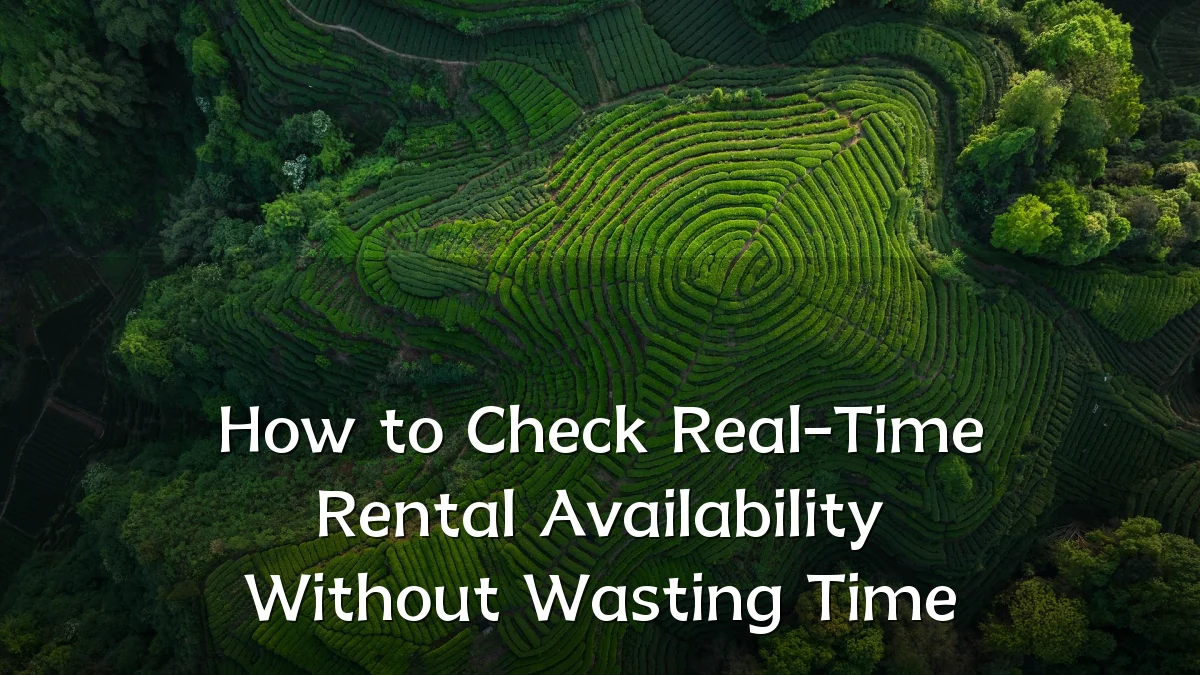 How to Check Real-Time Rental Availability Without Wasting Time
