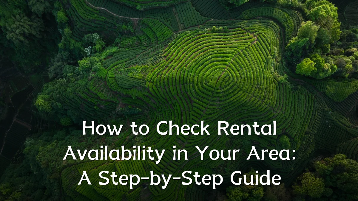 How to Check Rental Availability in Your Area: A Step-by-Step Guide