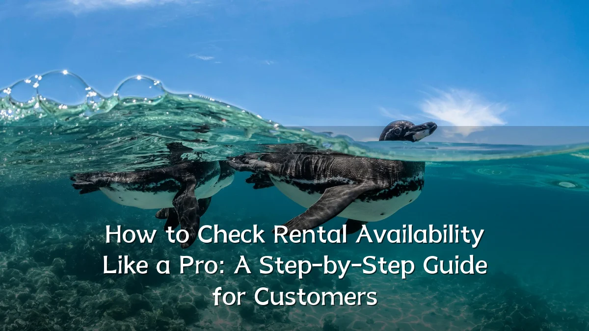 How to Check Rental Availability Like a Pro: A Step-by-Step Guide for Customers