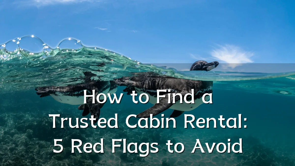 How to Find a Trusted Cabin Rental: 5 Red Flags to Avoid