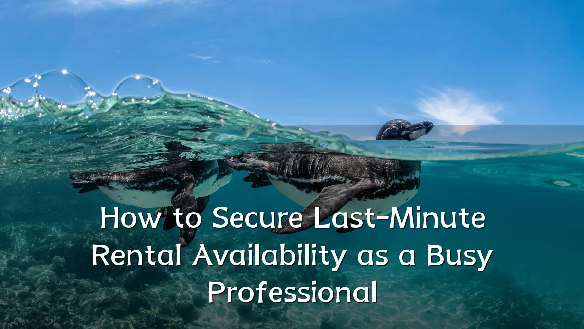 How to Secure Last-Minute Rental Availability as a Busy Professional
