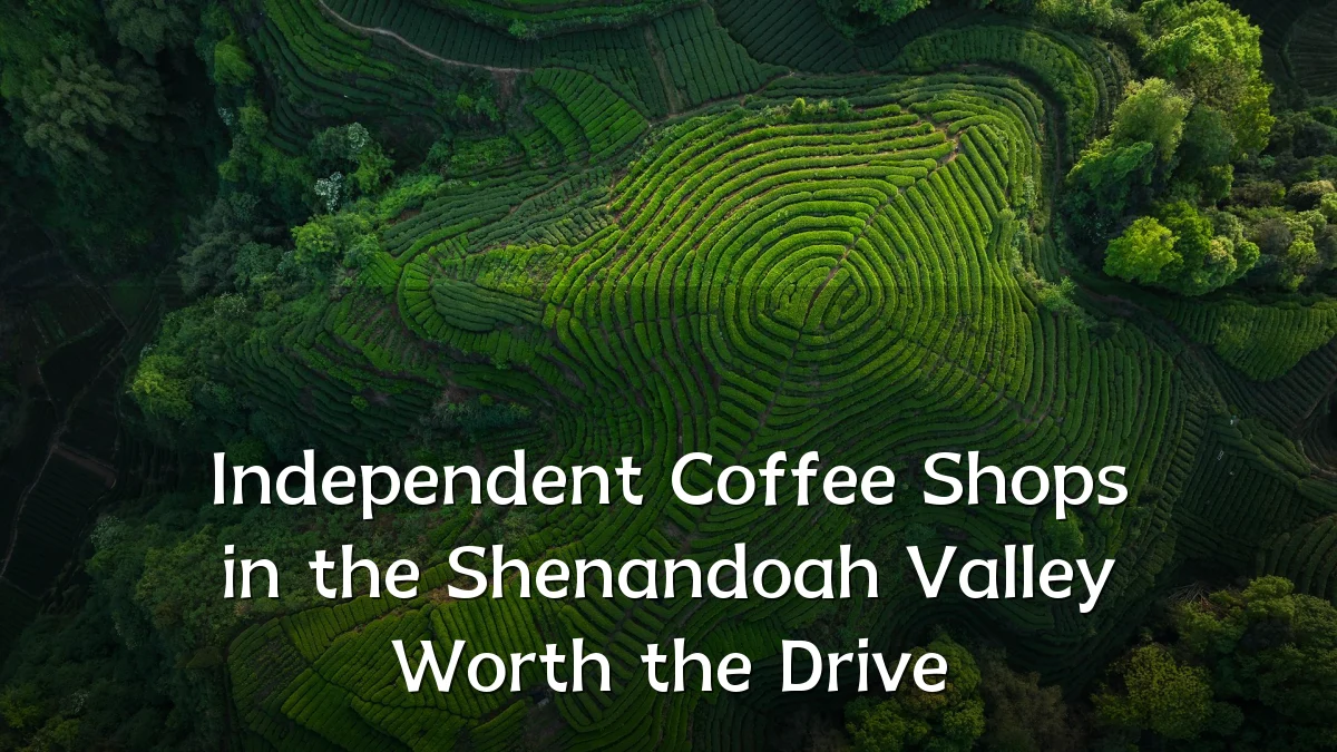 Independent Coffee Shops in the Shenandoah Valley Worth the Drive