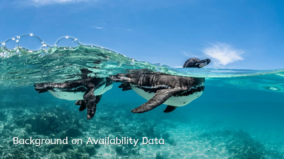 Background on Availability Data