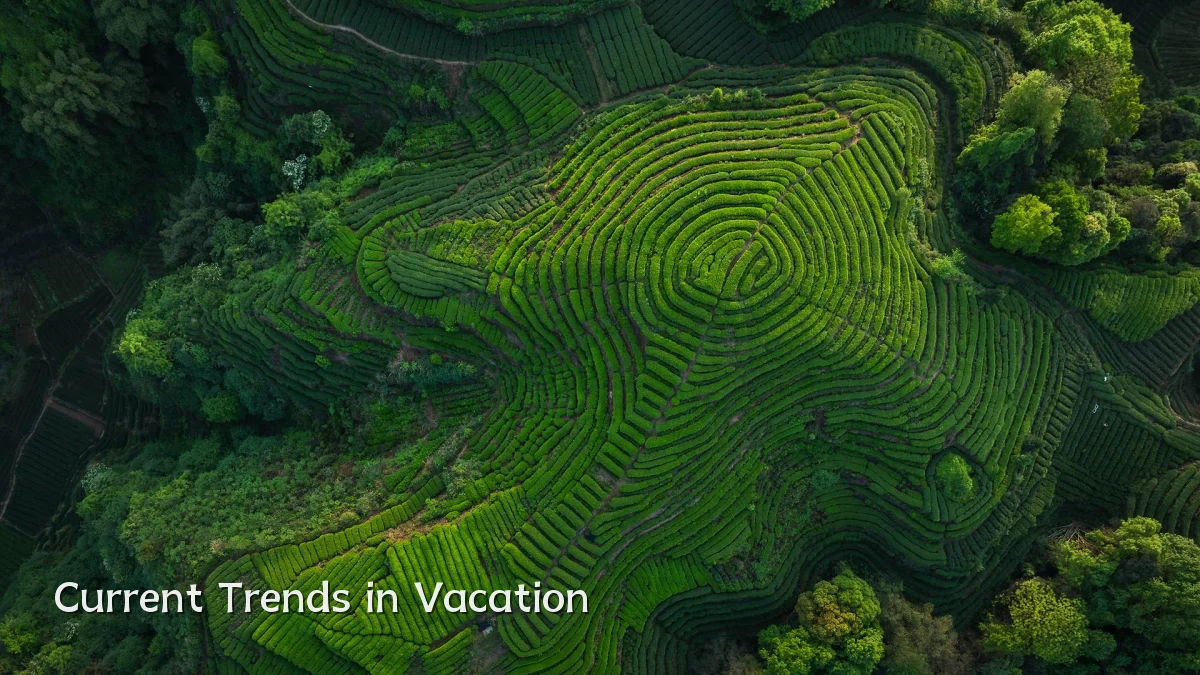 Current Trends in Vacation
