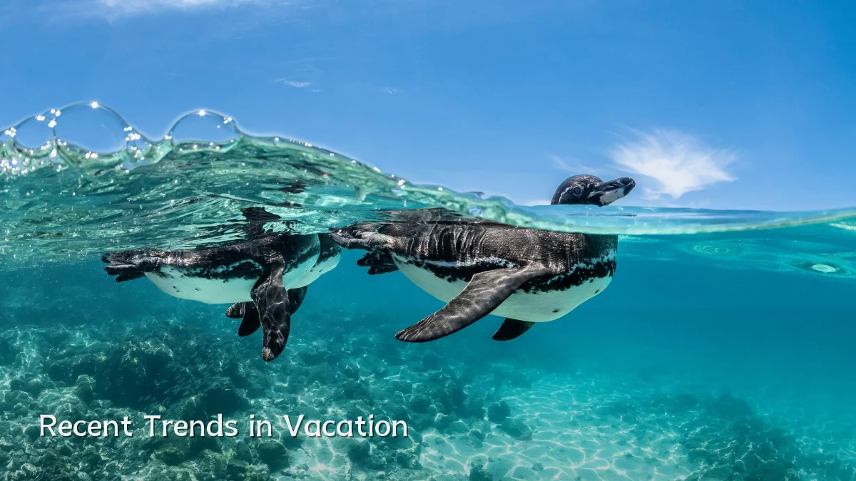 Recent Trends in Vacation