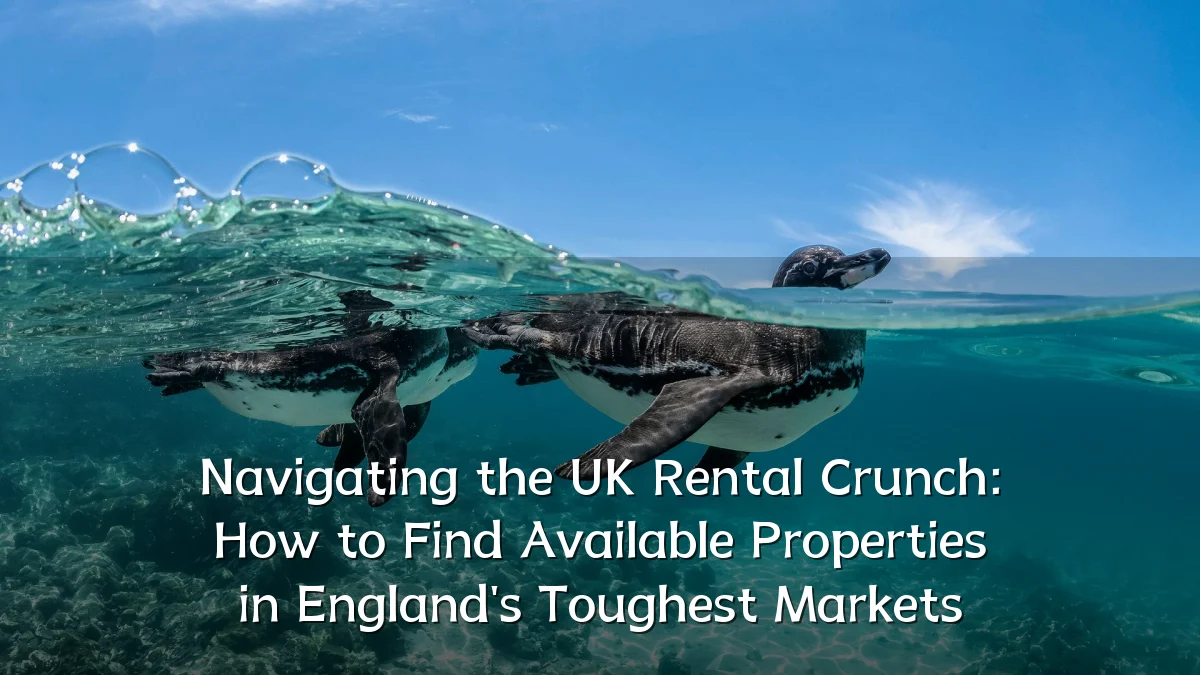 Navigating the UK Rental Crunch: How to Find Available Properties in England's Toughest Markets