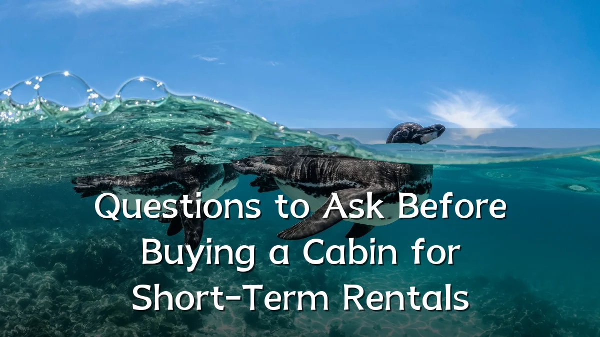 Questions to Ask Before Buying a Cabin for Short-Term Rentals