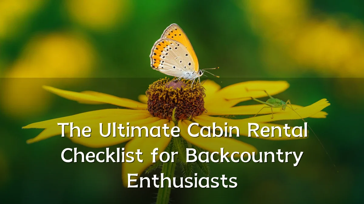 The Ultimate Cabin Rental Checklist for Backcountry Enthusiasts