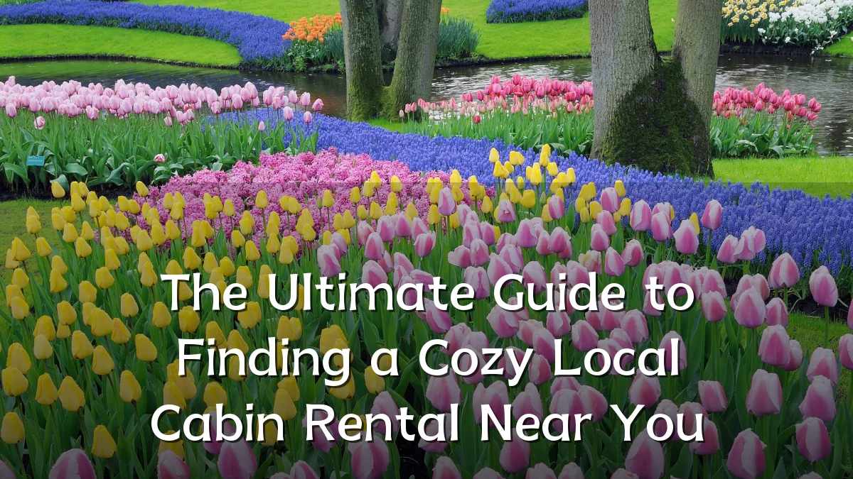 The Ultimate Guide to Finding a Cozy Local Cabin Rental Near You