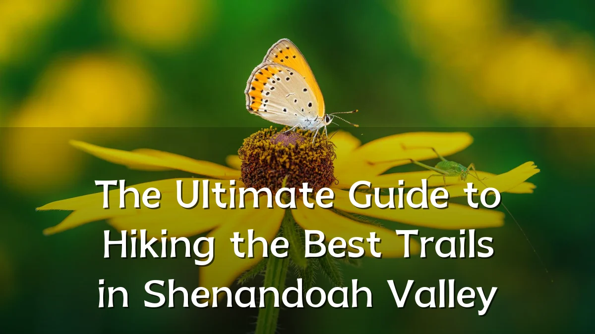 The Ultimate Guide to Hiking the Best Trails in Shenandoah Valley
