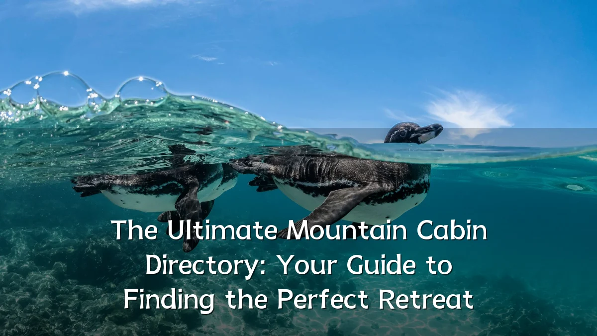 The Ultimate Mountain Cabin Directory: Your Guide to Finding the Perfect Retreat