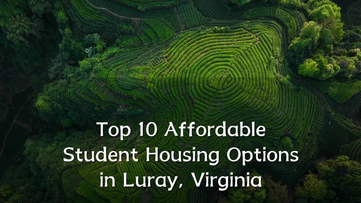 Top 10 Affordable Student Housing Options in Luray, Virginia
