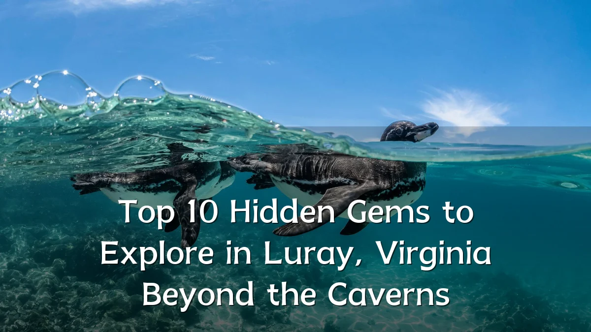 Top 10 Hidden Gems to Explore in Luray, Virginia Beyond the Caverns
