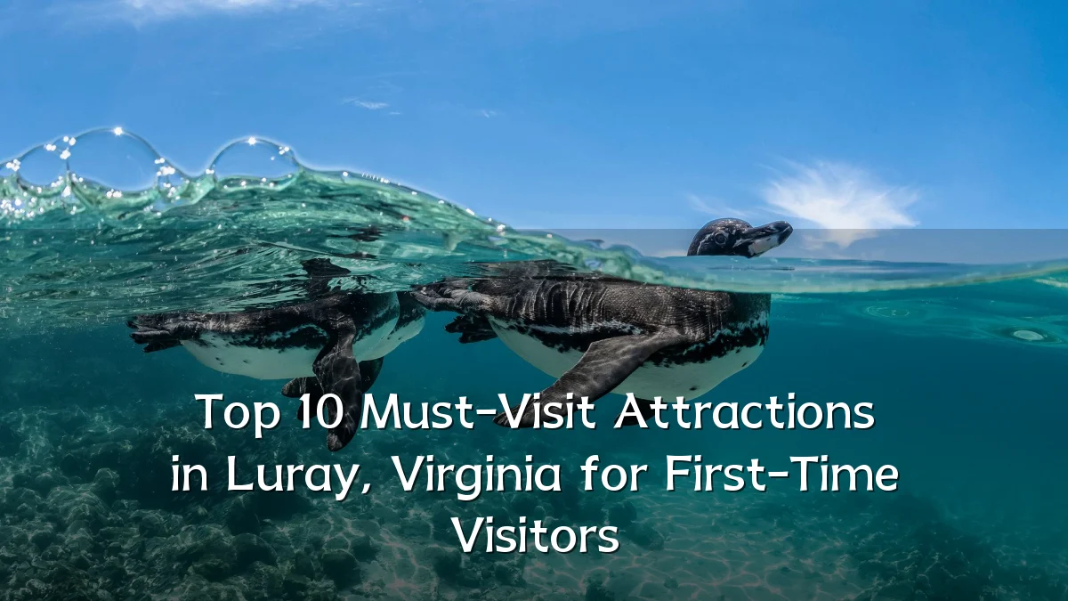 Top 10 Must-Visit Attractions in Luray, Virginia for First-Time Visitors