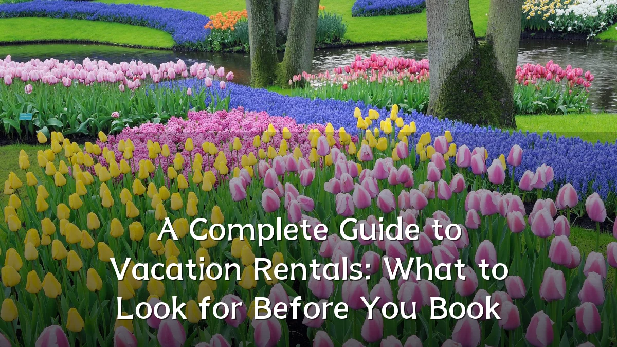 A Complete Guide to Vacation Rentals: What to Look for Before You Book