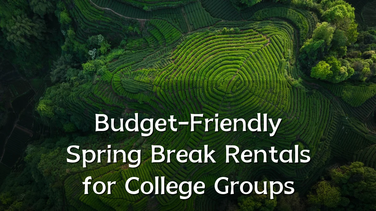 Budget-Friendly Spring Break Rentals for College Groups