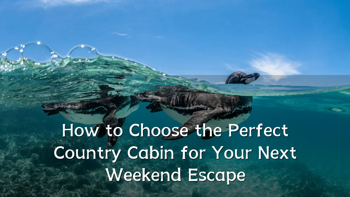 How to Choose the Perfect Country Cabin for Your Next Weekend Escape