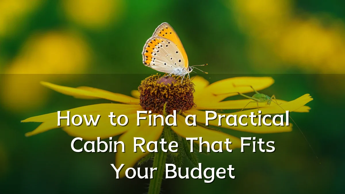 How to Find a Practical Cabin Rate That Fits Your Budget