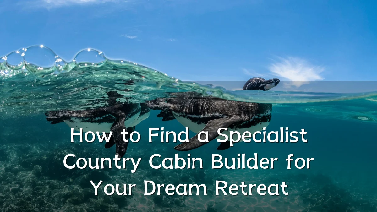 How to Find a Specialist Country Cabin Builder for Your Dream Retreat
