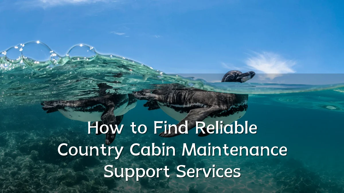 How to Find Reliable Country Cabin Maintenance Support Services