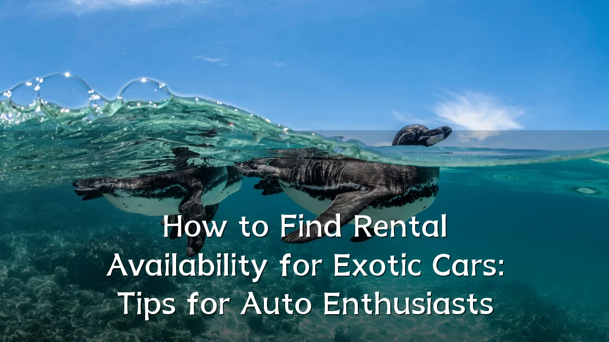 How to Find Rental Availability for Exotic Cars: Tips for Auto Enthusiasts