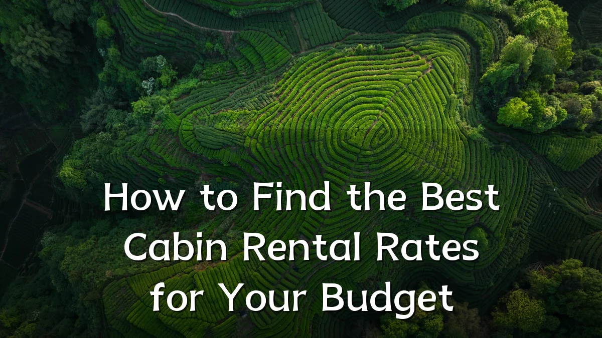 How to Find the Best Cabin Rental Rates for Your Budget