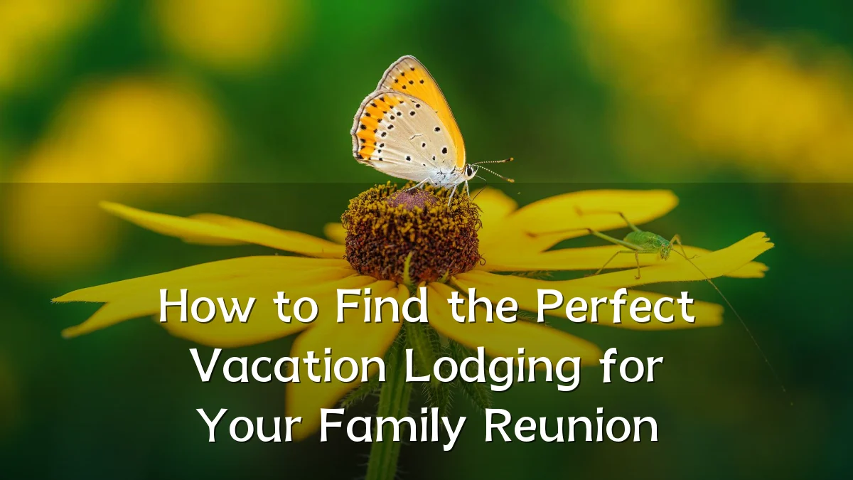 How to Find the Perfect Vacation Lodging for Your Family Reunion