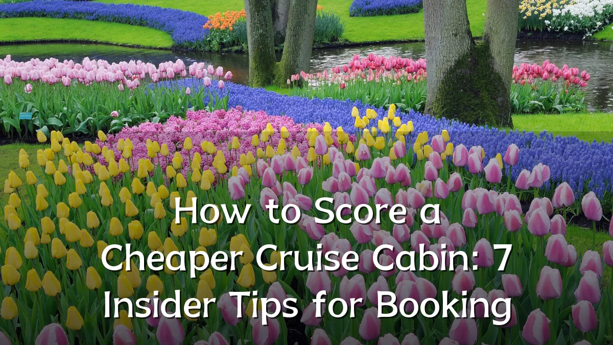How to Score a Cheaper Cruise Cabin: 7 Insider Tips for Booking