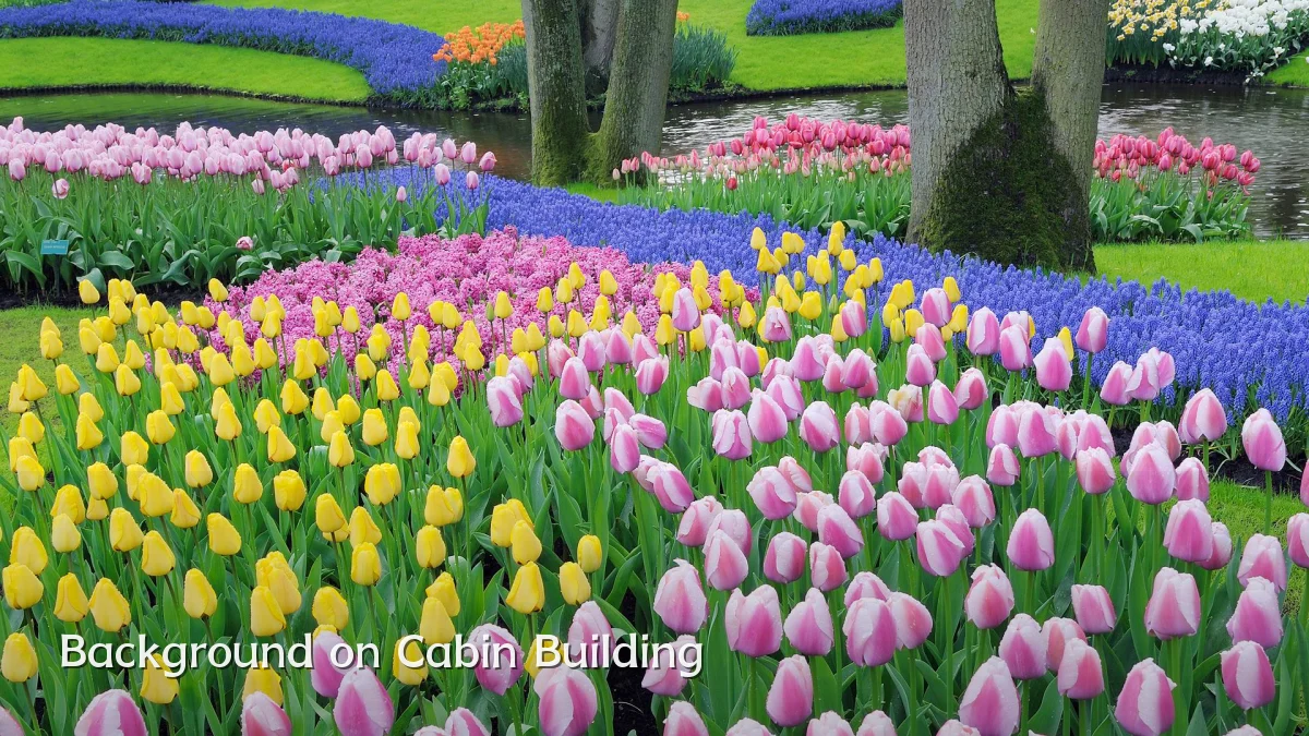 Background on Cabin Building