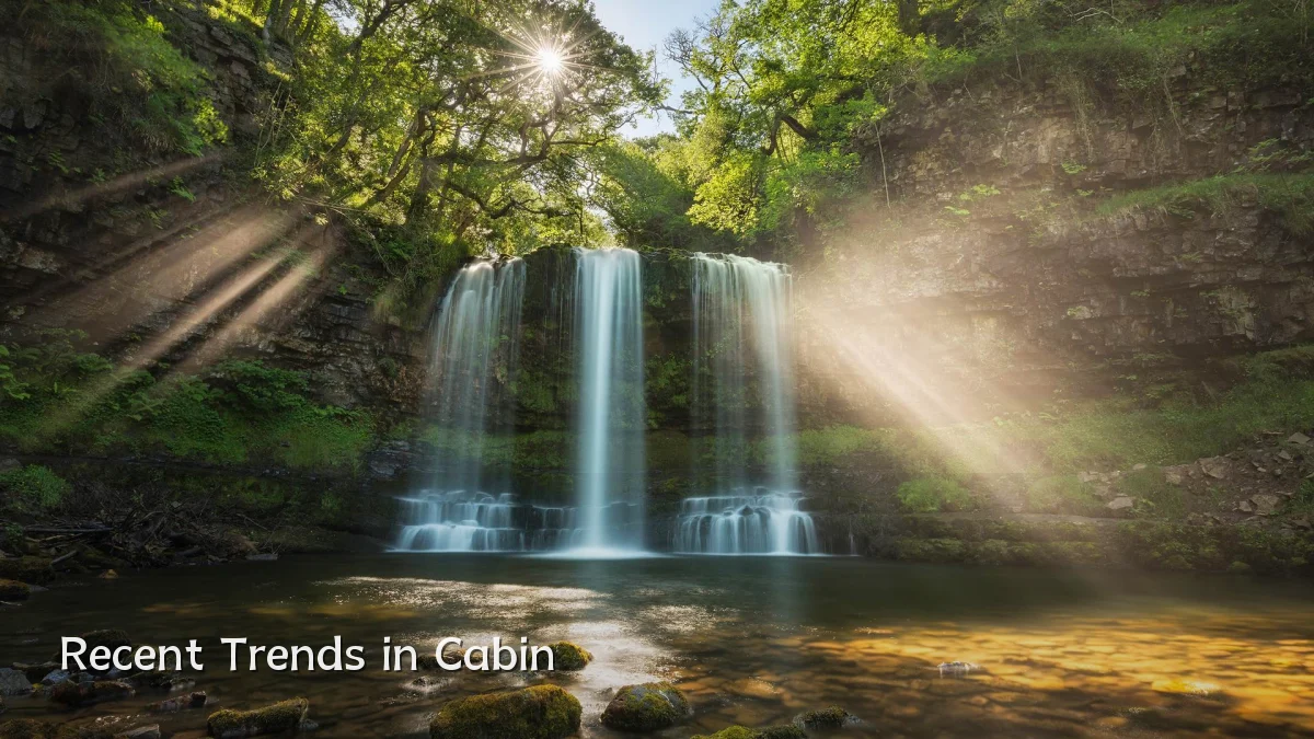 Recent Trends in Cabin