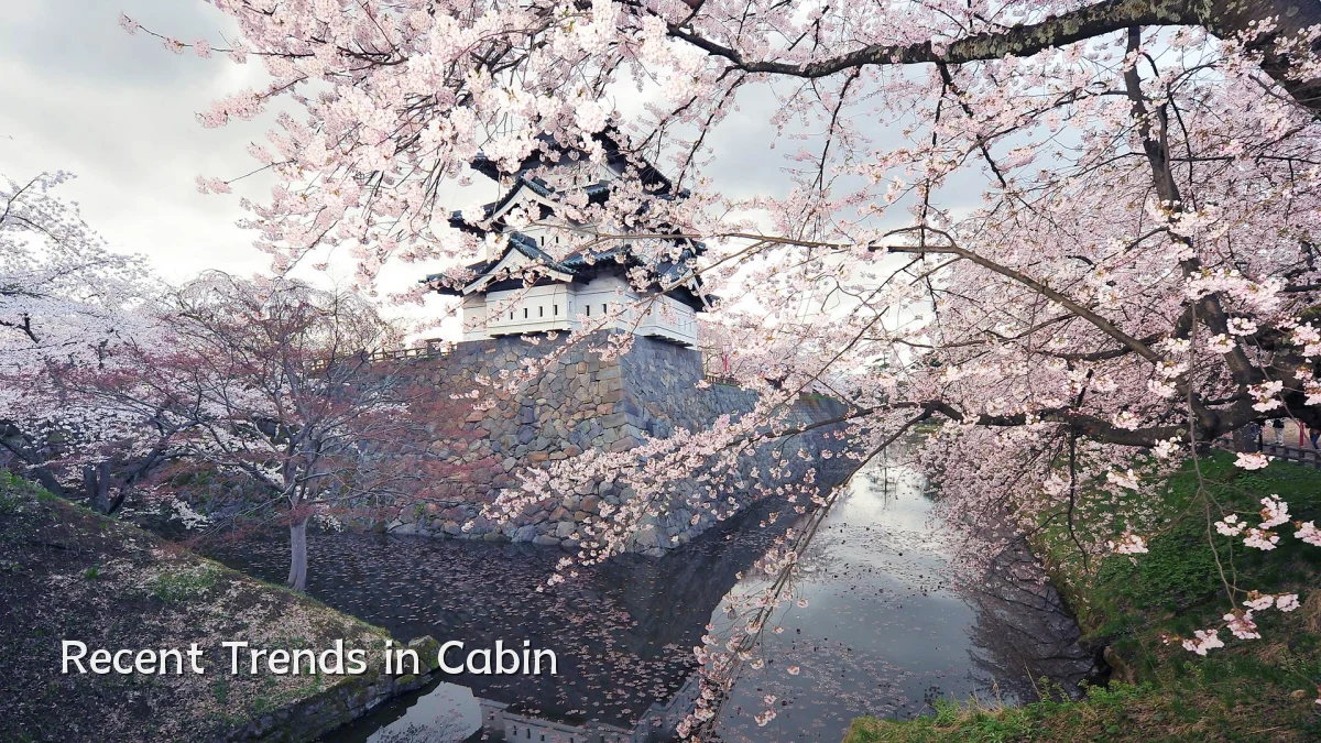 Recent Trends in Cabin