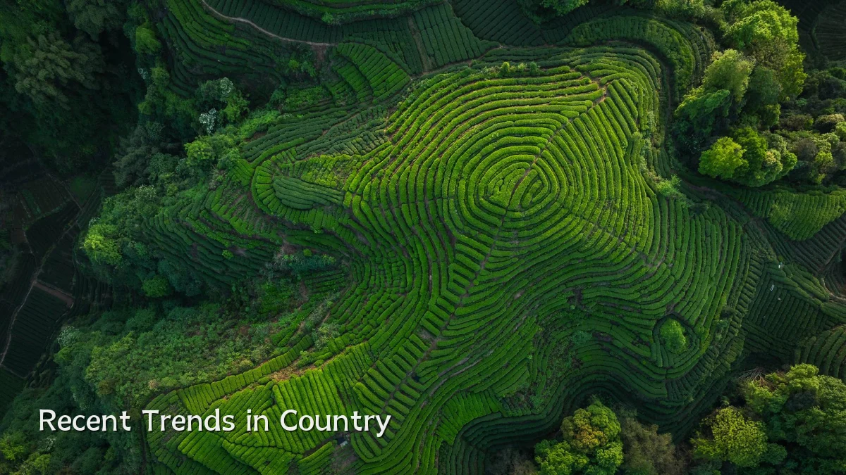 Recent Trends in Country