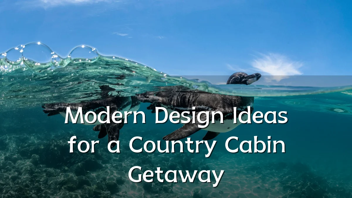 Modern Design Ideas for a Country Cabin Getaway