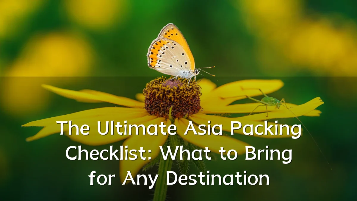 The Ultimate Asia Packing Checklist: What to Bring for Any Destination